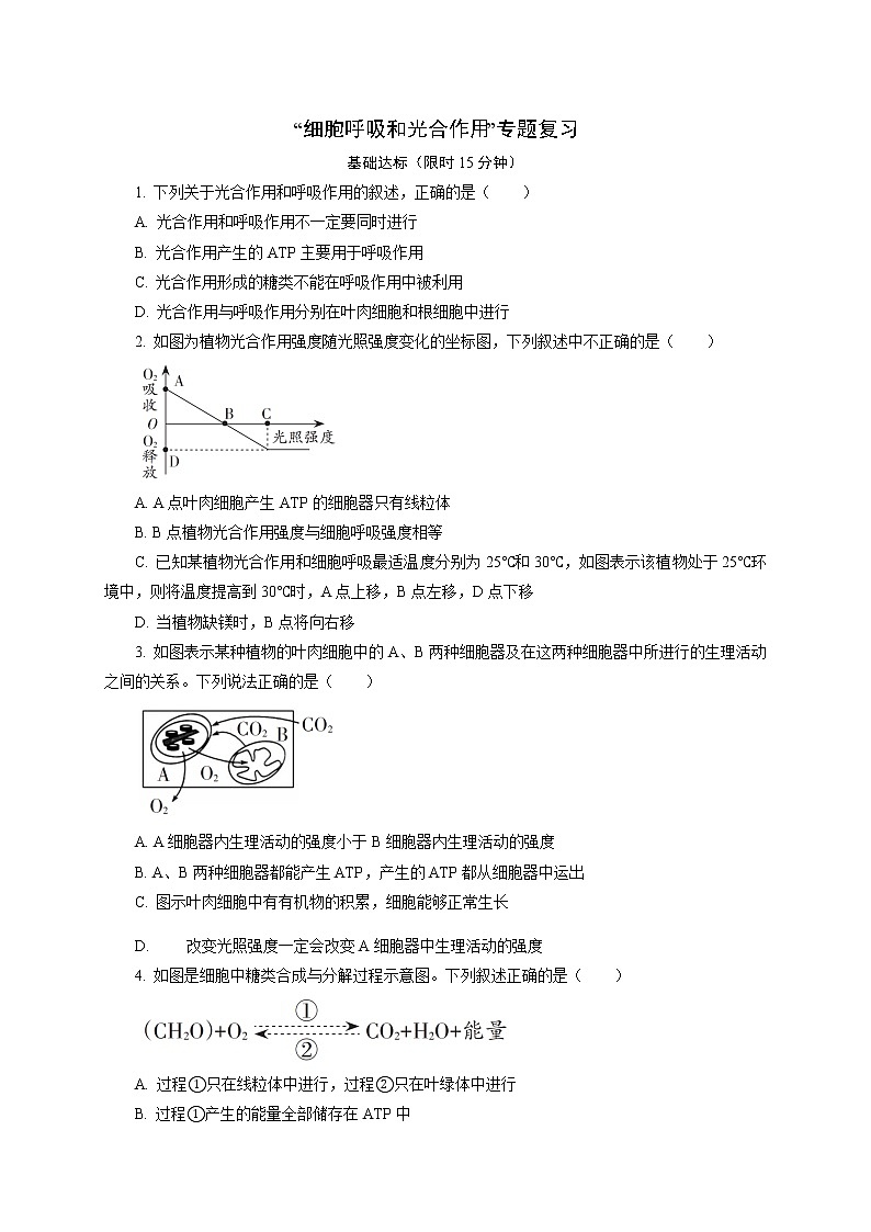 3“细胞呼吸和光合作用”专题复习 课后作业 【新教材】浙科版（2019）高中生物必修一01