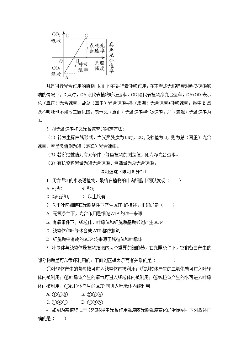3“细胞呼吸和光合作用”专题复习 随堂作业 【新教材】浙科版（2019）高中生物必修一02