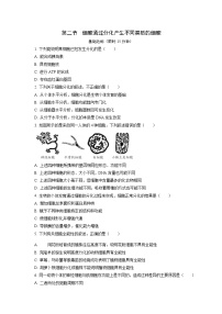 高中生物浙科版 (2019)必修1《分子与细胞》第二节 细胞通过分化产生不同类型的细胞精品当堂达标检测题