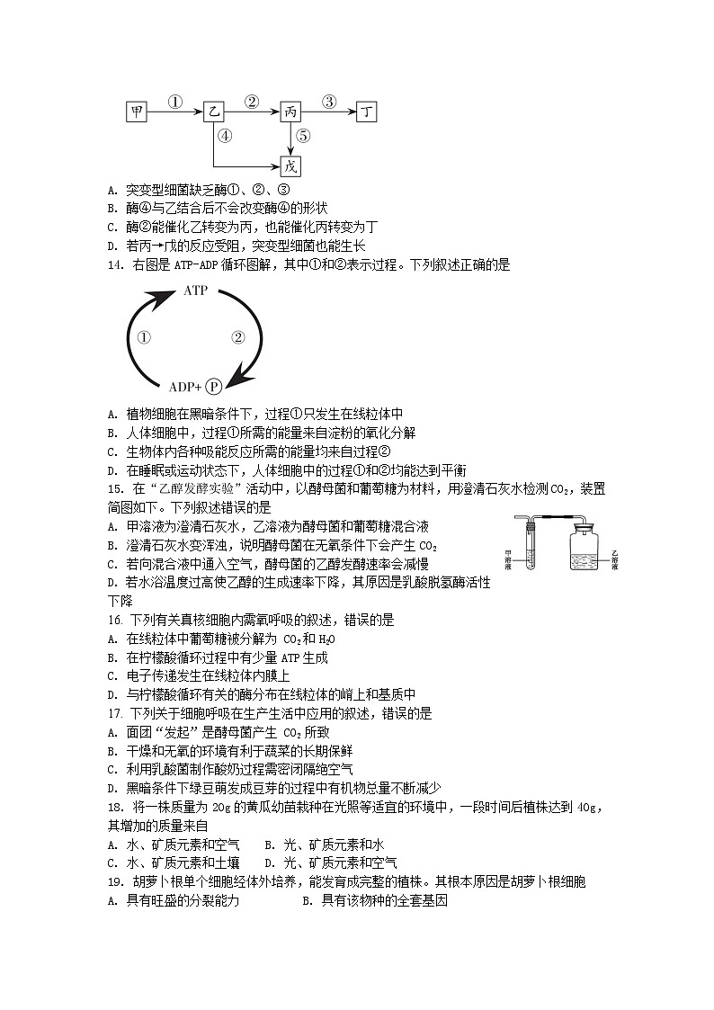期末备考 期末检测（二） 单元检测【新教材】浙科版（2019）高中生物必修一03