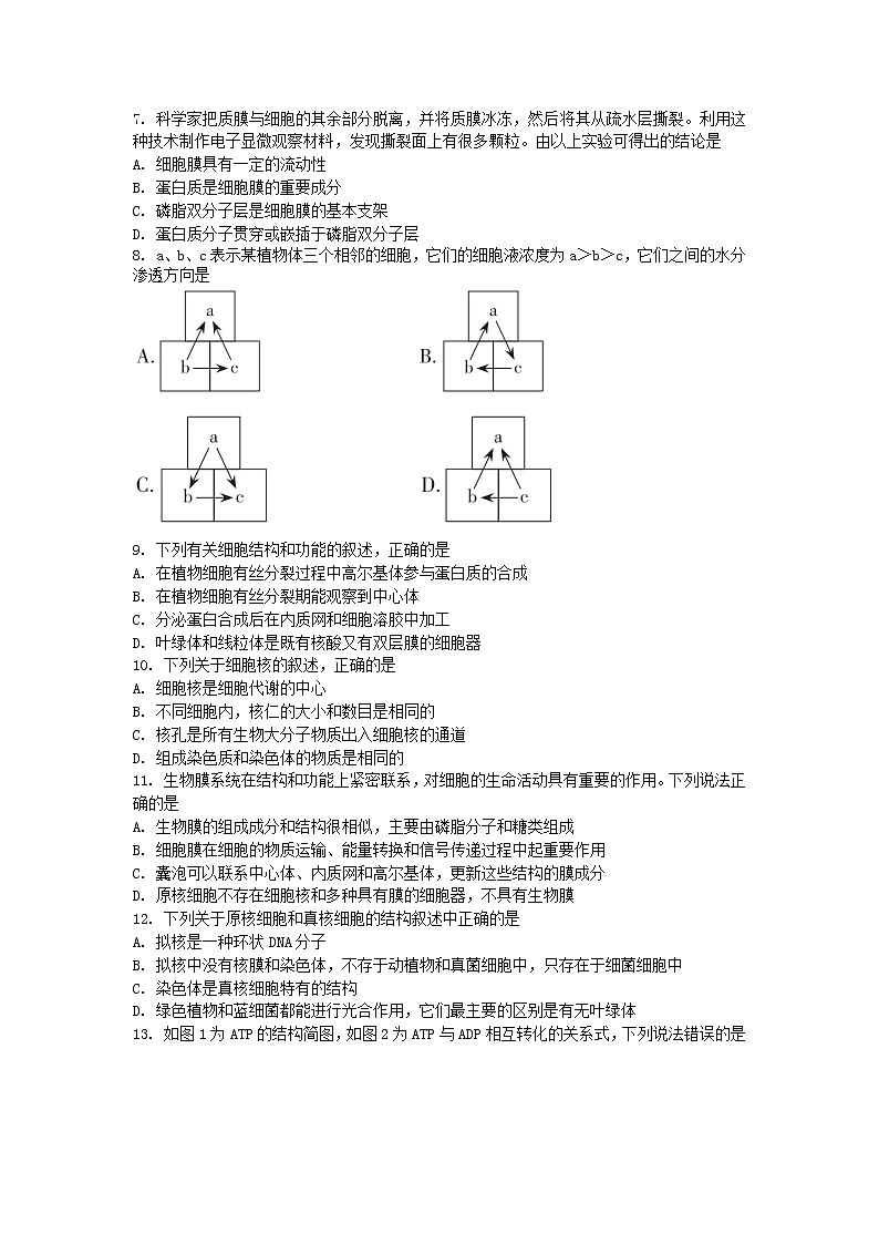 期末备考 期末检测（一） 单元检测【新教材】浙科版（2019）高中生物必修一02