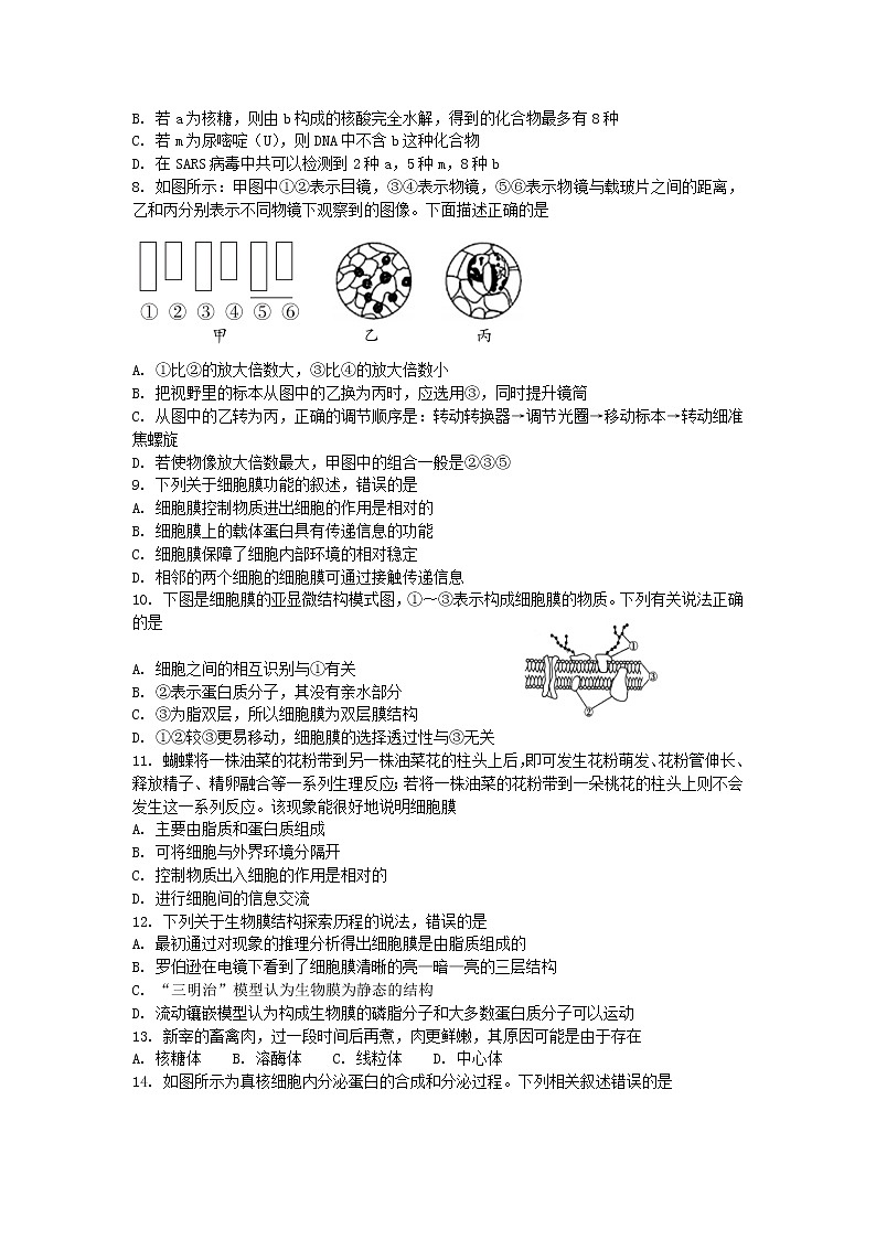 期末备考 期中检测（二） 单元检测【新教材】浙科版（2019）高中生物必修一02