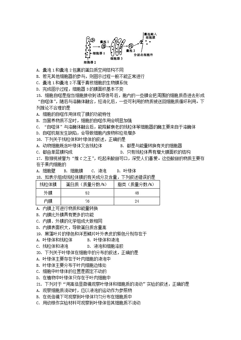 期末备考 期中检测（二） 单元检测【新教材】浙科版（2019）高中生物必修一03
