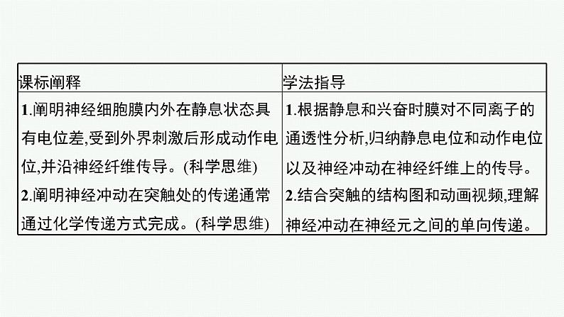 第二章第二节　神经冲动的产生和传导课件—2021-2022学年【新教材】浙科版（2019）高中生物选择性必修1第3页