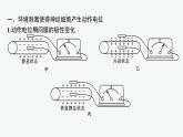 第二章第二节　神经冲动的产生和传导课件—2021-2022学年【新教材】浙科版（2019）高中生物选择性必修1