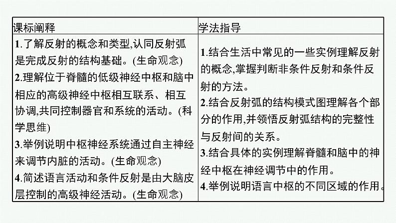 第二章第三节　人体通过神经调节对刺激做出反应课件—【新教材】浙科版（2019）高中生物选择性必修103