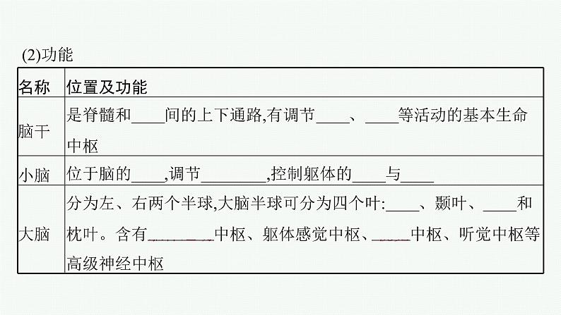 第二章第三节　人体通过神经调节对刺激做出反应课件—【新教材】浙科版（2019）高中生物选择性必修108