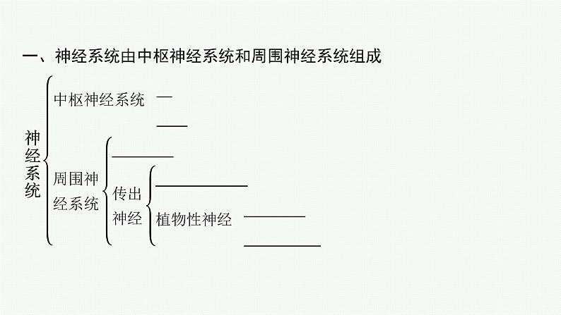 第二章第一节　神经系统是神经调节的结构基础课件—【新教材】浙科版（2019）高中生物选择性必修105