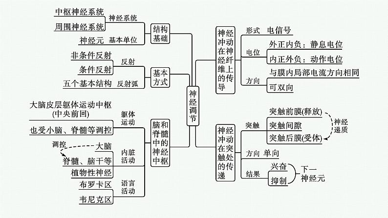 第二章章末整合　神经调节　课件—2021-2022学年【新教材】浙科版（2019）高中生物选择性必修1第4页