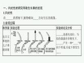 第五章第一节　生长素的发现开启了人类对植物激素调节的探索课件—2021-2022学年【新教材】浙科版（2019）高中生物选择性必修1