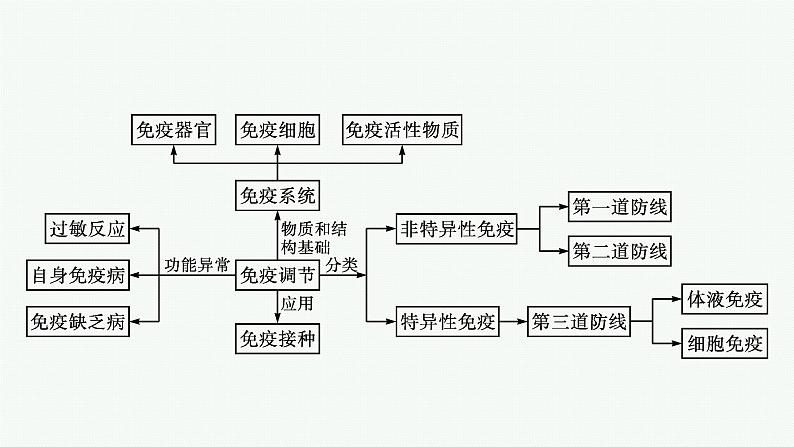 第四章章末免疫调节整合课件—【新教材】浙科版（2019）高中生物选择性必修104