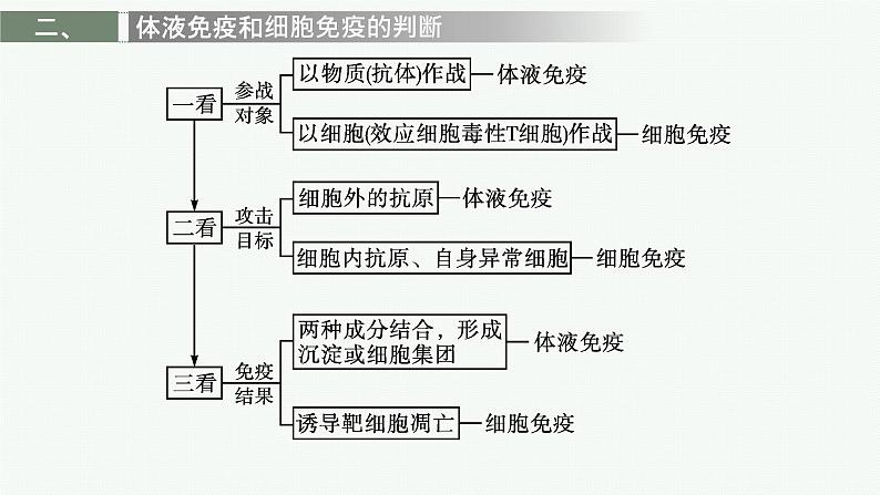 第四章章末免疫调节整合课件—【新教材】浙科版（2019）高中生物选择性必修108