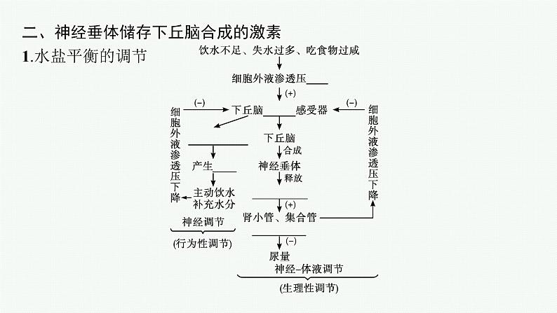 第三章第二节　神经系统通过下丘脑控制内分泌系统课件—2021-2022学年【新教材】浙科版（2019）高中生物选择性必修1第8页