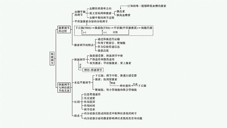 第三章章末体液调节整合课件—【新教材】浙科版（2019）高中生物选择性必修104