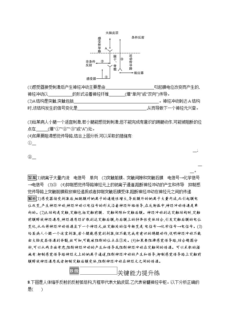 第二章第三节　人体通过神经调节对刺激做出反应 课后习题 —【新教材】浙科版（2019）高中生物选择性必修103