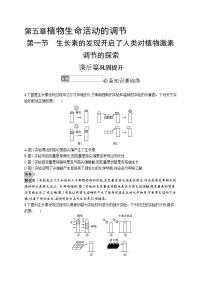 2021学年第一节  生长素的发现开启了人类对植物激素调节的探索一课一练