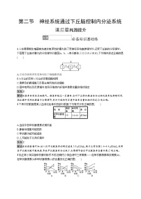 2020-2021学年第二节  神经系统通过下丘脑控制内分泌系统同步测试题