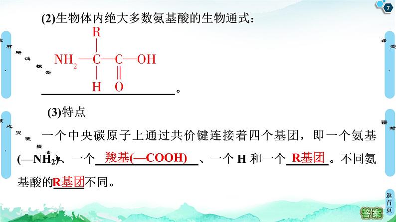 第1章　第2节　第2课时　蛋白质与核酸 课件 【新教材】浙科版（2019）高中生物必修一07