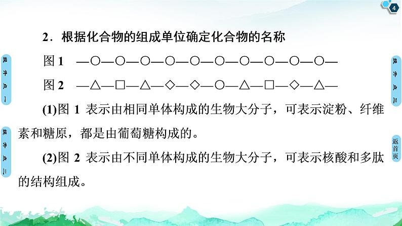 第1章　素能提升课 有机物的判断、检测及蛋白质的相关计算 课件 【新教材】浙科版（2019）高中生物必修一04