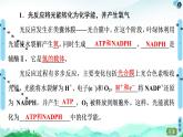 第3章　第5节　第2课时　光合作用的过程与影响光合作用的环境因素 课件 【新教材】浙科版（2019）高中生物必修一