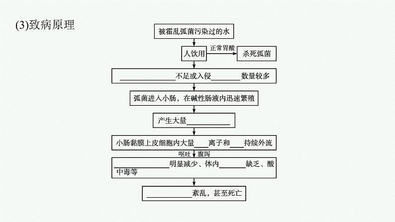 第一章第二节　内环境的稳态保障正常生命活动课件—【新教材】浙科版（2019）高中生物选择性必修106