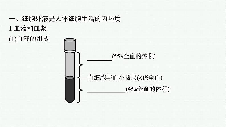 第一章第一节　人体细胞生活在内环境中课件—2021-2022学年【新教材】浙科版（2019）高中生物选择性必修1第5页