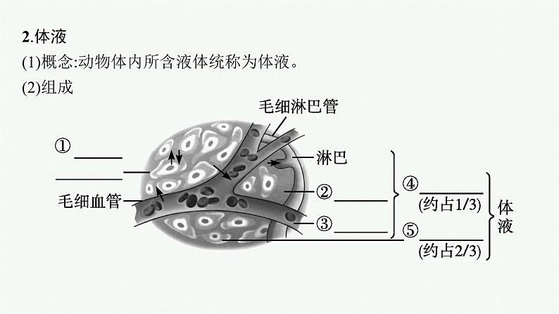 第一章第一节　人体细胞生活在内环境中课件—2021-2022学年【新教材】浙科版（2019）高中生物选择性必修1第8页