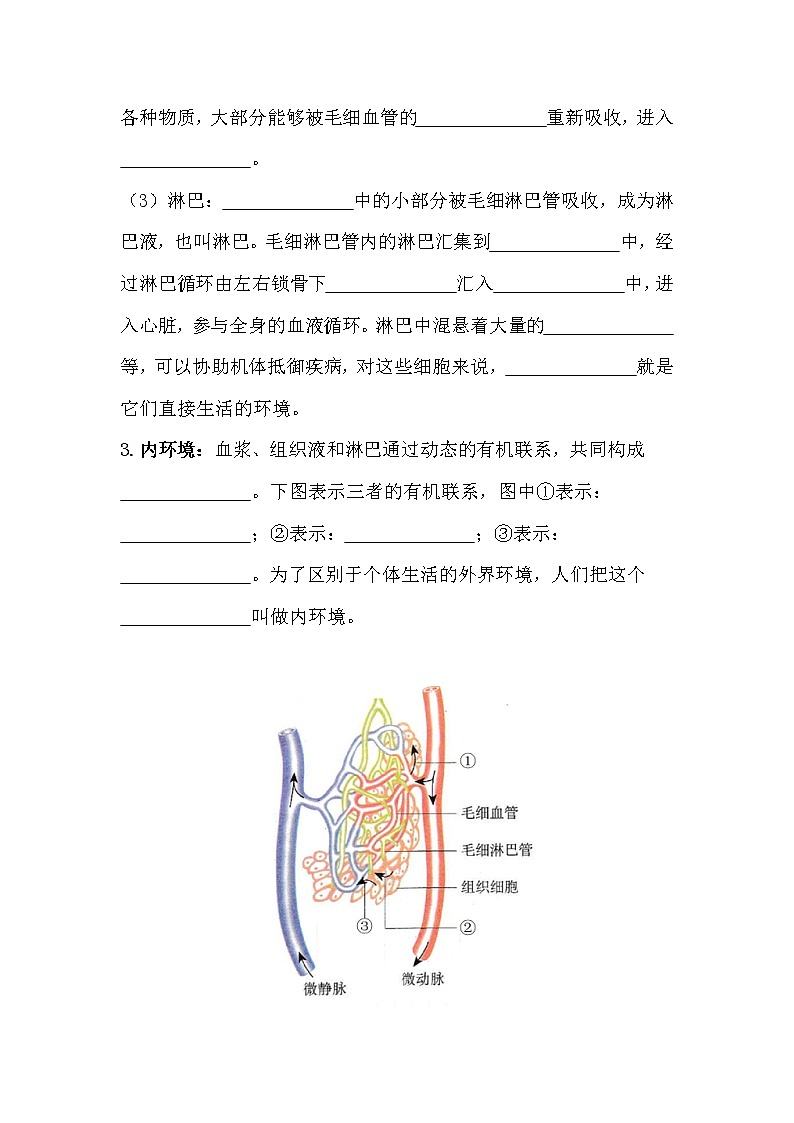 1.1细胞生活的环境基础强化高二生物人教版必修三教案02