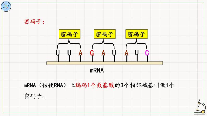 翻译PPT课件免费下载06