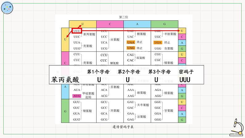 翻译PPT课件免费下载07