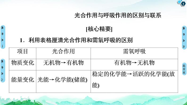 第3章　素能提升课 光合作用与呼吸作用的综合应用 课件 【新教材】浙科版（2019）高中生物必修一03