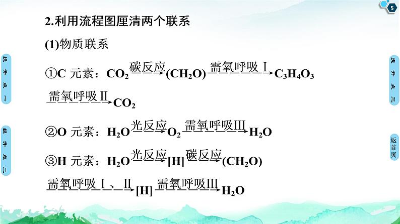 第3章　素能提升课 光合作用与呼吸作用的综合应用 课件 【新教材】浙科版（2019）高中生物必修一05