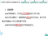 第6章 探究实践　观察根尖分生区组织细胞的有丝分裂 课件【新教材】人教版（2019）高一生物必修一
