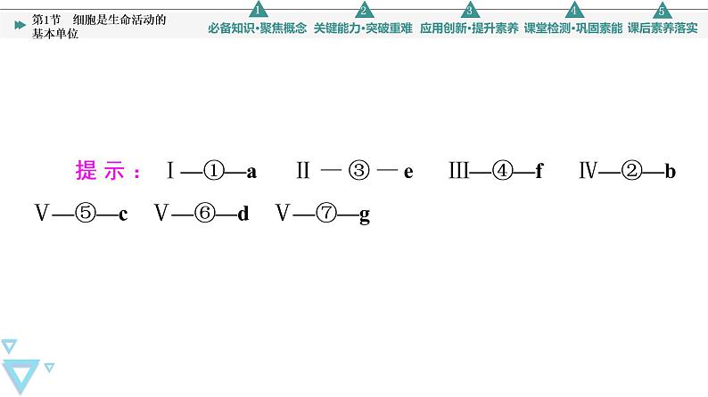 第1章 第1节　细胞是生命活动的基本单位 课件【新教材】人教版（2019）高一生物必修一06
