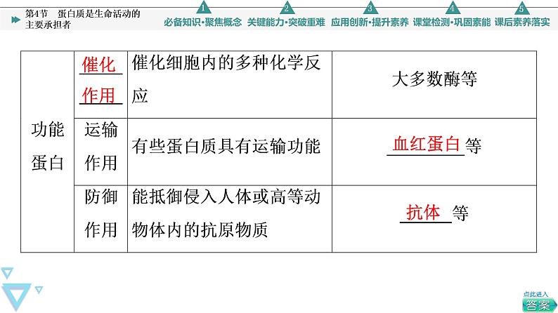 第2章 第4节　蛋白质是生命活动的主要承担者 课件【新教材】人教版（2019）高一生物必修一07