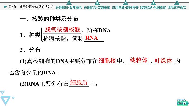 第2章 第5节　核酸是遗传信息的携带者 课件【新教材】人教版（2019）高一生物必修一04