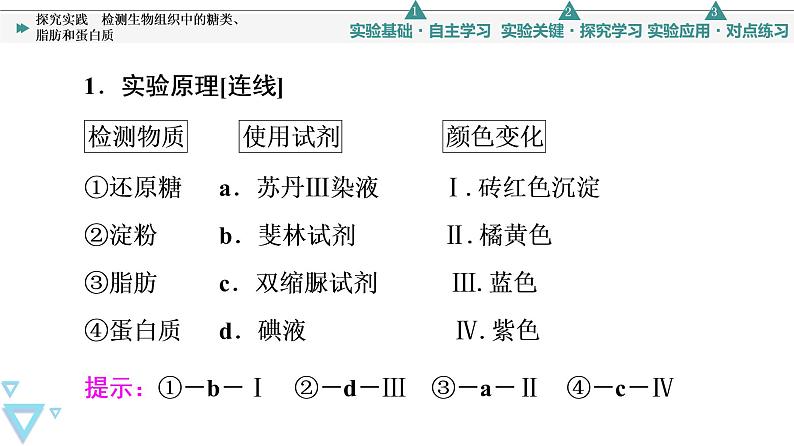 第2章 探究实践　检测生物组织中的糖类、脂肪和蛋白质 课件【新教材】人教版（2019）高一生物必修一03