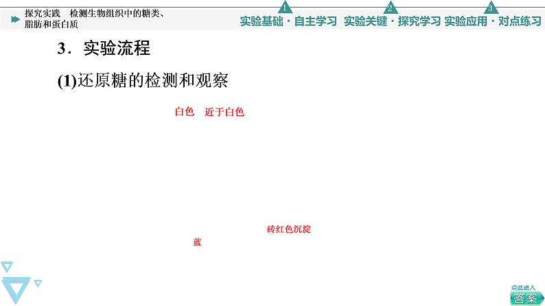 第2章 探究实践　检测生物组织中的糖类、脂肪和蛋白质 课件【新教材】人教版（2019）高一生物必修一05