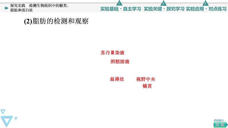 第2章 探究实践　检测生物组织中的糖类、脂肪和蛋白质 课件【新教材】人教版（2019）高一生物必修一06