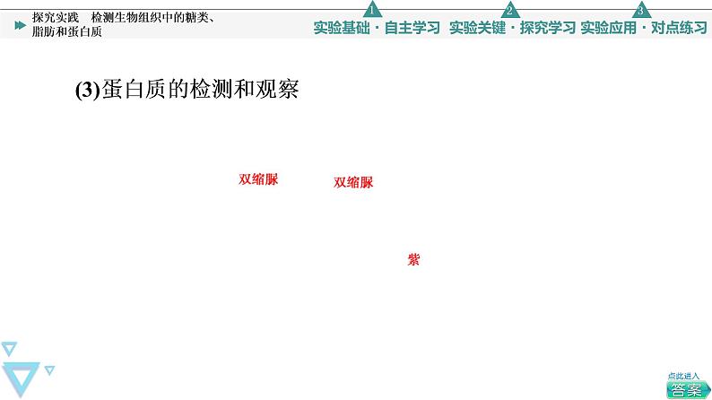 第2章 探究实践　检测生物组织中的糖类、脂肪和蛋白质 课件【新教材】人教版（2019）高一生物必修一07