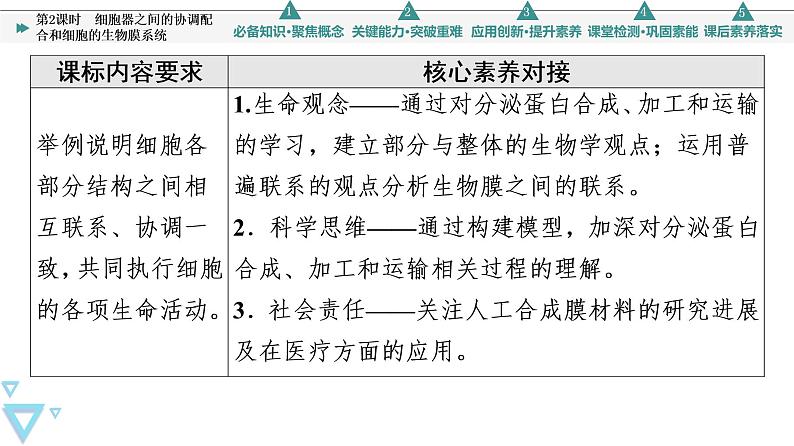 第3章 第2节 第2课时　细胞器之间的协调配合和细胞的生物膜系统 课件【新教材】人教版（2019）高一生物必修一第2页