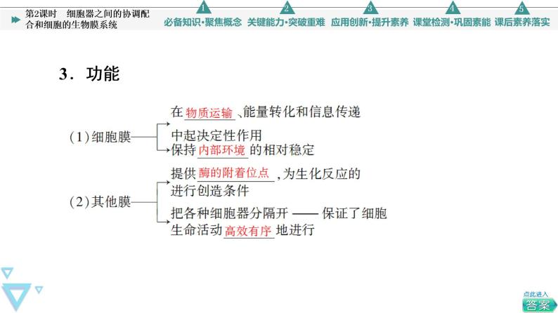 第3章 第2节 第2课时　细胞器之间的协调配合和细胞的生物膜系统 课件【新教材】人教版（2019）高一生物必修一08