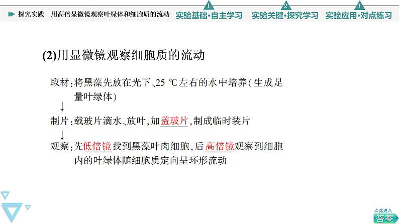 第3章 探究实践　用高倍显微镜观察叶绿体和细胞质的流动 课件【新教材】人教版（2019）高一生物必修一05