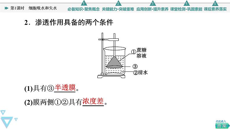 第4章 第1节 第1课时　细胞吸水和失水 课件【新教材】人教版（2019）高一生物必修一05