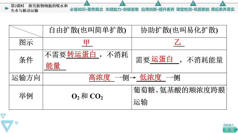 第4章 第1节 第2课时　探究植物细胞的吸水和失水与被动运输 课件【新教材】人教版（2019）高一生物必修一06