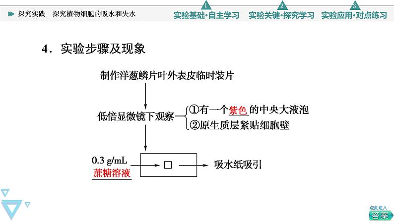 第4章 探究实践　探究植物细胞的吸水和失水 课件【新教材】人教版（2019）高一生物必修一第5页