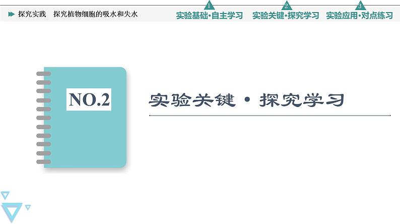 第4章 探究实践　探究植物细胞的吸水和失水 课件【新教材】人教版（2019）高一生物必修一第8页