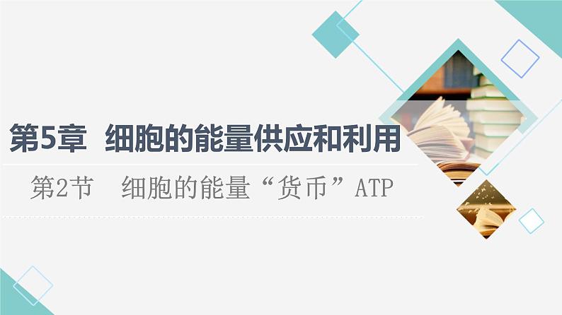 第5章 第2节　细胞的能量“货币”ATP 课件【新教材】人教版（2019）高一生物必修一01