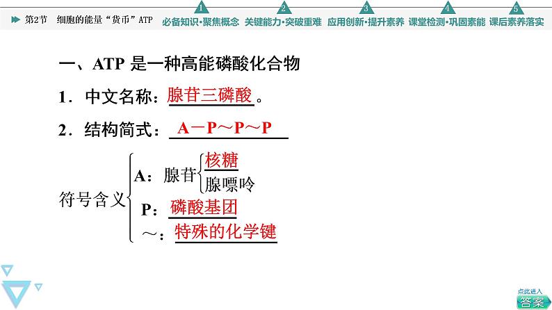 第5章 第2节　细胞的能量“货币”ATP 课件【新教材】人教版（2019）高一生物必修一04