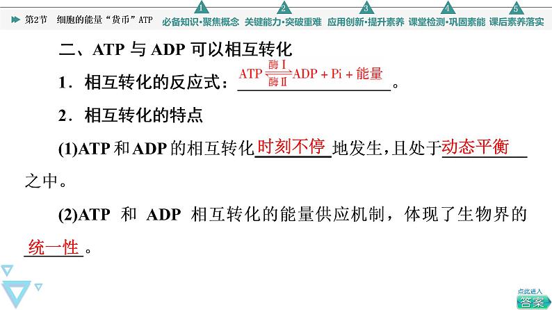 第5章 第2节　细胞的能量“货币”ATP 课件【新教材】人教版（2019）高一生物必修一06